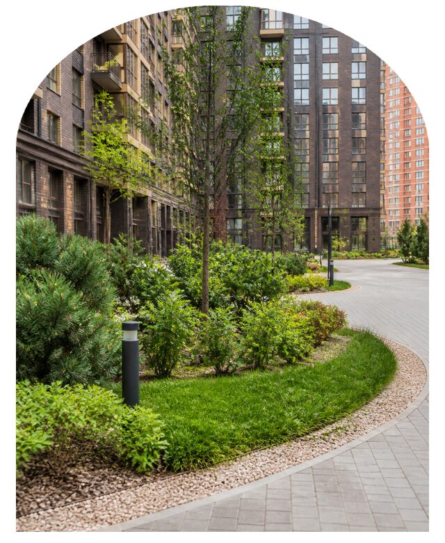 Заказать озеленение двора в Ивантеевке по цене от 25718 р. | Метпроект-Внт